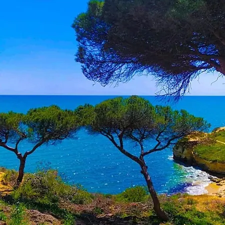 Σπίτι διακοπών Casa Luna With Saltwater Pool *